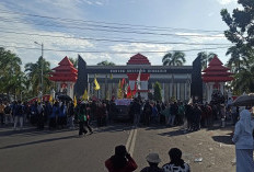 Demo Nilai 100 Hari Kerja Gubernur Bengkulu, Masa Aksi Soroti 12 Program Unggulan Helmi-Mian