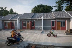 Modal Rp 100 Juta, Beli Rumah Subsidi atau Non Subsidi, Berikut Ini Penjelasan Akuratnya!