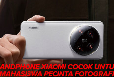 Cocok untuk Mahasiswa Pecinta Fotografi, Ini 5 Handphone Xiaomi dengan Kamera Juara!