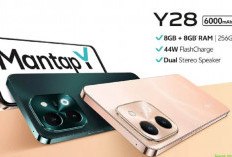 3 Jenis HP Vivo yang Paling Dicari, Selain Stylish, Ini Penyebab Lain Jadi Primadona!