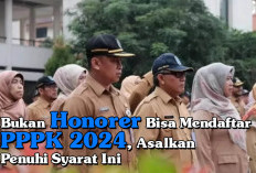 Bukan Honorer Bisa Mendaftar PPPK 2024, Asalkan Penuhi Syarat Ini