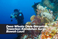 Desa Wisata Olele Gorontalo, Tawarkan Keindahan Surga Bawah Laut! 