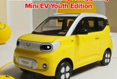 BARU! Mobil Listrik Wuling Hongguang Mini EV Youth 5 Pintu, Dijual Murah