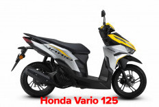 Teryata Segini Biaya Pembayaran Pajak Kendaraan Bermotor 5 Tahunan Honda Vario 125!