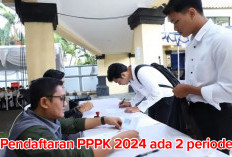 HARUS TAHU! Tahap Pendaftaran PPPK 2024   Ada 2 Periode, Ini Penjelasan Detailnya 