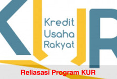 Realisasi Progam KUR 2025 Lebih Kecil Dibanding Tahun Sebelum, Segini Jumlahnya 