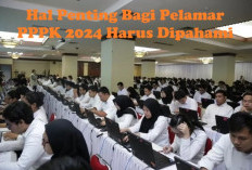 WAJIB TAHU! 5 Hal Penting Ini Harus Dipahami Bagi Pelamar PPPK 2024