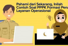 Pahami dari Sekarang, Inilah Contoh Soal PPPK Formasi Penata Layanan Operasional