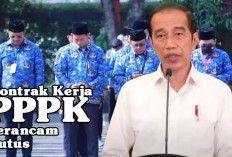 PARAH! Kontrak Kerja PPPK Terancam Putus, Ini Penjelasannya