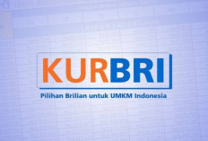 KUR BRI vs KUR BSI! Mana yang Lebih Unggul? Intip Perbedaan Keduanya di Sini!