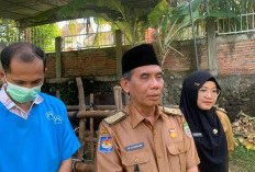 Kasus Hewan Ngorok di Provinsi Bengkulu Meningkat, Kabupaten Kaur Termasuk Tinggi 