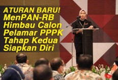 ATURAN BARU! MenPAN-RB Himbau Calon Pelamar PPPK Tahap Kedua Siapkan Diri 