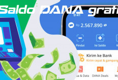 Ini Dia Aplikasi Pencari Loker yang Bisa Memberikan Saldo DANA Gratis Hingga Rp 136.000! Tertarik Mencobanya!