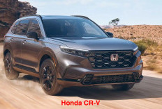 Fitur Modern dan Stylish, Pajak Kendaraan Bermotor Honda CR-V Ternyata Segini!