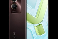 Layar Halus Tampilan Bagus, Vivo Y18 Mewah Cocok Buat Nongkrong