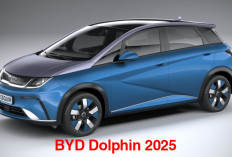 BYD Dolphin 2025 Resmi Meluncur,  Ini Sentuhan Pembaruannya 