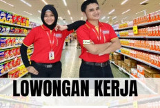 Alfamart Group Sedang Buka Loker untuk Semua Jurusan, Minat Silahkan Daftar! 