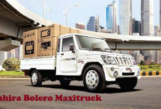 Pickup Paling Populer di India Ini Ada di Indonesia! Yuk Intip Spesifikasi dan Harga Mahira Bolero Maxitruck