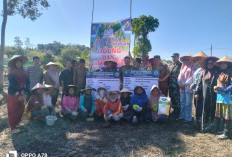 Program Ketahanan Pangan Bakal Makmur Dilaksanakan, Tanam Jagung dan Perikanan