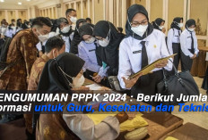 PENGUMUMAN PPPK 2024 : Berikut Jumlah Formasi untuk Guru, Kesehatan dan Teknis 