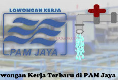 Lowongan Kerja Terbaru di PAM Jaya untuk Lulusan S1! Pendaftaran hingga Februari 2025