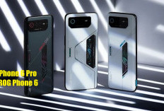 ROG Phone 6 Pro dan ROG Phone 6, Layar AMOLED, Canggih dan Mewah, Ini Keunggulannya