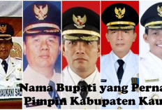 21 Tahun Sejak Berdiri 2003, Berikut Ini 7 Bupati yang Pernah Pimpin Kabupaten Kaur