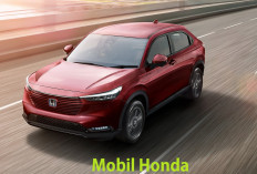 Honda Gebrak Pasar Otomotif Indonesia, Ternyata Ini Model Mobil Terbaru yang disiapkan!