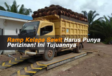 Ramp Kelapa Sawit Harus Punya Perizinan! Ini Tujuannya