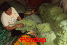 Suku Serawai Dikenal dengan Masakan Khasnya Gulai Pendap, Sudah Ada Sejak Nenek Moyang