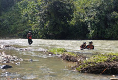  7 Hari Pencarian Korban Hilang Tidak Membuahkan Hasil, Tim Ditarik, Ini Penjelasan Kabid BPBD