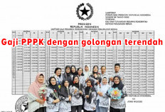 Tanggung Jawab Kerja PPPK Beserta Gaji PPPK dengan Golongan Terendah, Cek di Informasi Ini  