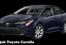 Pajak Toyota Carolla Menarik? Segini yang Harus dibayarkan!