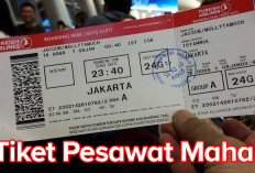 Harga Tiket Pesawat di Brazil Termahal di Dunia, Indonesia Nomor Berapa? Ini Jawaban Luhut Binsar Pandjaitan 