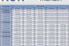Petani dan Nelayan Bisa Ajukan Pinjaman KUR Mandiri, Rp 50 Hingga 500 Juta, Berikut Syaratnya 
