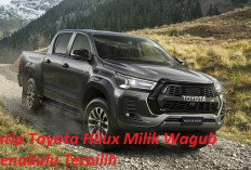 Miliki Nilai Rp 270 Juta, Yuk Intip Toyota Hilux Milik Wagub Bengkulu Terpilih