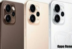 Oppo Reno 15c Bakal Menjadi Pesaing Pasar Smartphone, Benarkah? Ini Jawabannya!