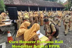 Honorer Pertama Kali Mendaftar Seleksi PPPK, Jangan Bingung Begini Caranya