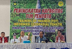 Seluruh Kebun Sawit Rakyat di Bengkulu Selatan Akan Didata, Simak Kegunaannya