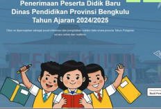 PPDB Bengkulu 2024, Simak Link Pengumuman dan Tata Caranya, Cek di Sini
