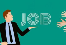 BUMN Buka Lowongan Kerja untuk Lulusan SMA/SMK, S1 dan S2, Tertarik Cek Informasinya di Sini