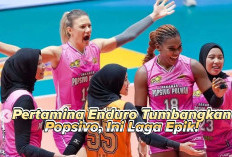 Final Four Proliga 2025: Jakarta Pertamina Enduro Buat Tim Yolla Yuliana Tak Berdaya!