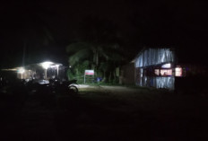 Sudah Ditertibkan Masih Membandel, Bupati Ancam Laporkan Pemilik Warem Terkait Penyerobotan Lahan