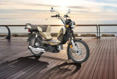 Cek di Sini Yuk Daftar Harga Terbaru Motor Bebek Bulan Juli 2026