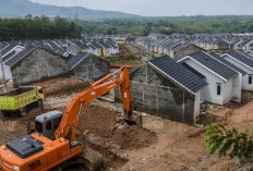Tertarik Beli Rumah Subsidi di Jakarta, Harga Berkisaran Rp 145 Jutaan, Yuk Cek Lokasinya