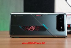 Asus ROG Phone 6D: Pilihan Terbaik Handphone Gaming Kualitas Juara!