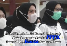 Ada di Bengkulu, Ini Daerah Terbanyak Buka Lowongan Seleksi PPPK Tahun 2024, Kuota Tembus Ribuan