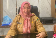 Bangkit dari Mati Suri! Bengkulu Selatan Siapkan 1.600 Indukan Nila untuk Hal Ini