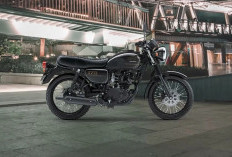 Daftar Lengkap Harga Motor Sport Kawasaki 2026, Cek Jenis dan Berapa Paling Murahnya?