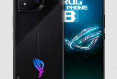 Handphone Asus, Kapasitas Baterai Besar, Sangat Rekomendasi untuk Konten Kreator 